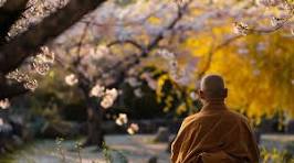 madmeditatinginsprintime madmeditatinginsprintime